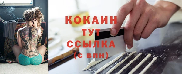 прущие грибы Беломорск