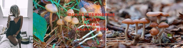 винт Белоозёрский