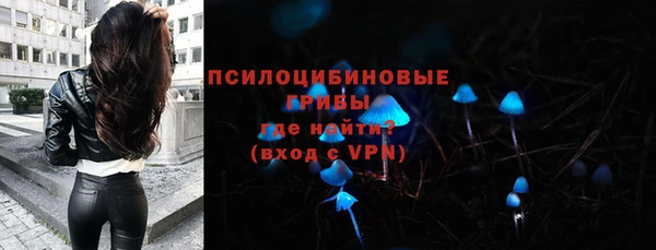 круглые Белокуриха