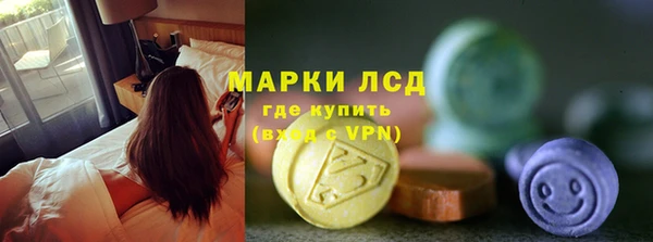 прущие грибы Беломорск