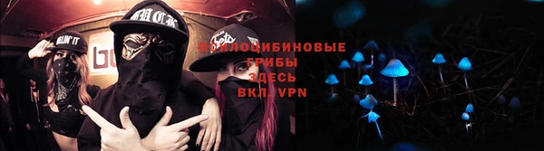 круглые Белокуриха