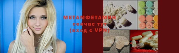 прущие грибы Беломорск