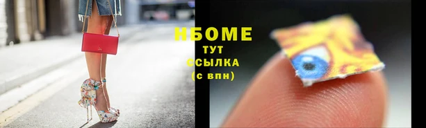 прущие грибы Беломорск