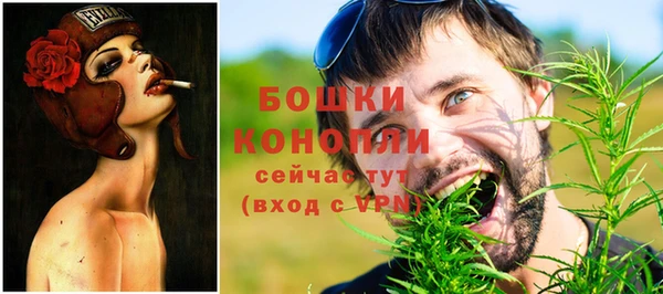 прущие грибы Беломорск