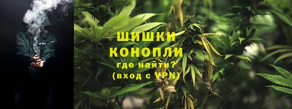 прущие грибы Беломорск