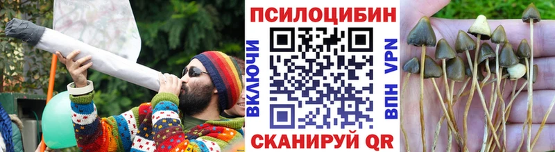 Галлюциногенные грибы прущие грибы  мориарти формула  Кстово 