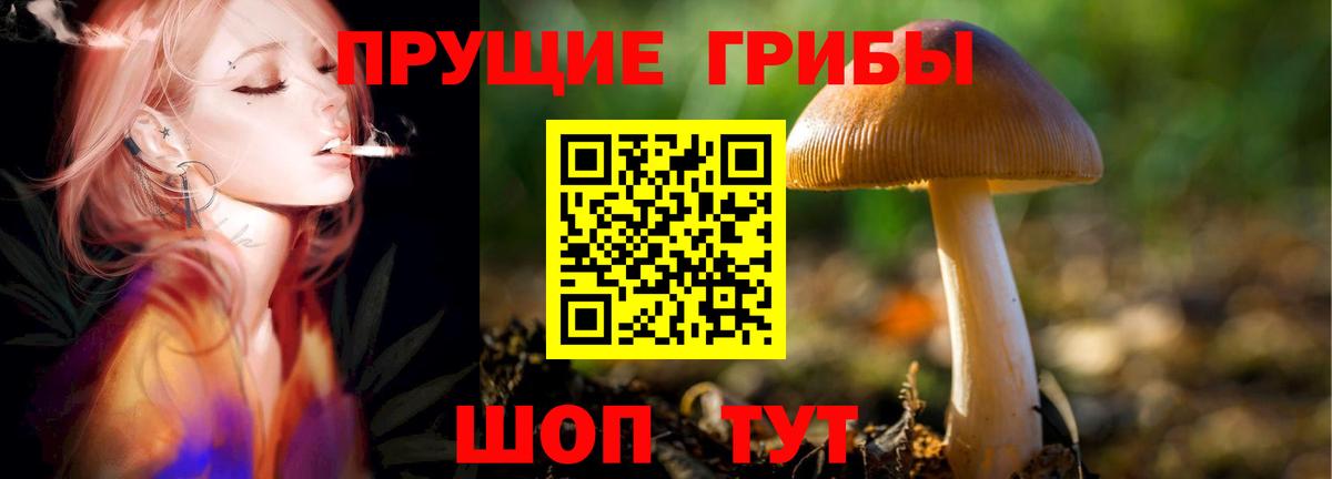 Кстово  Псилоцибиновые грибы ЛСД  Вход с VPN 